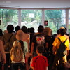 おおかみ　on stage