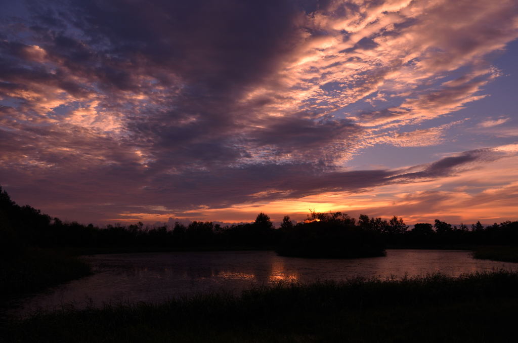 Wonder Sky