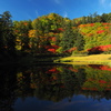 滝見沼の紅葉