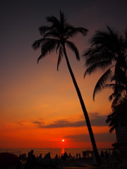 Sunset of Waikiki