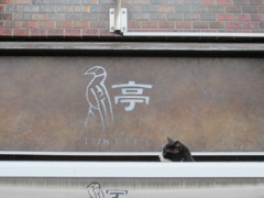 猫写