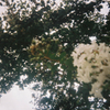 FH000014