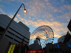 夕日の前
