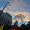 夕日の前