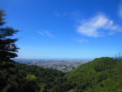 風が強い
