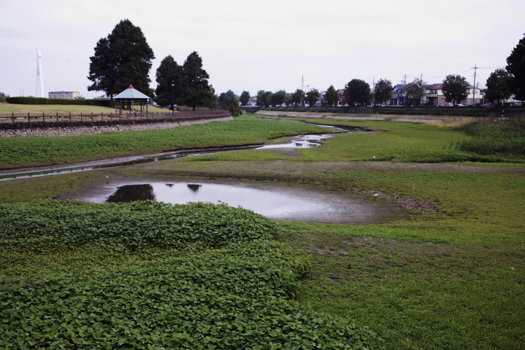 市役所前の散歩04
