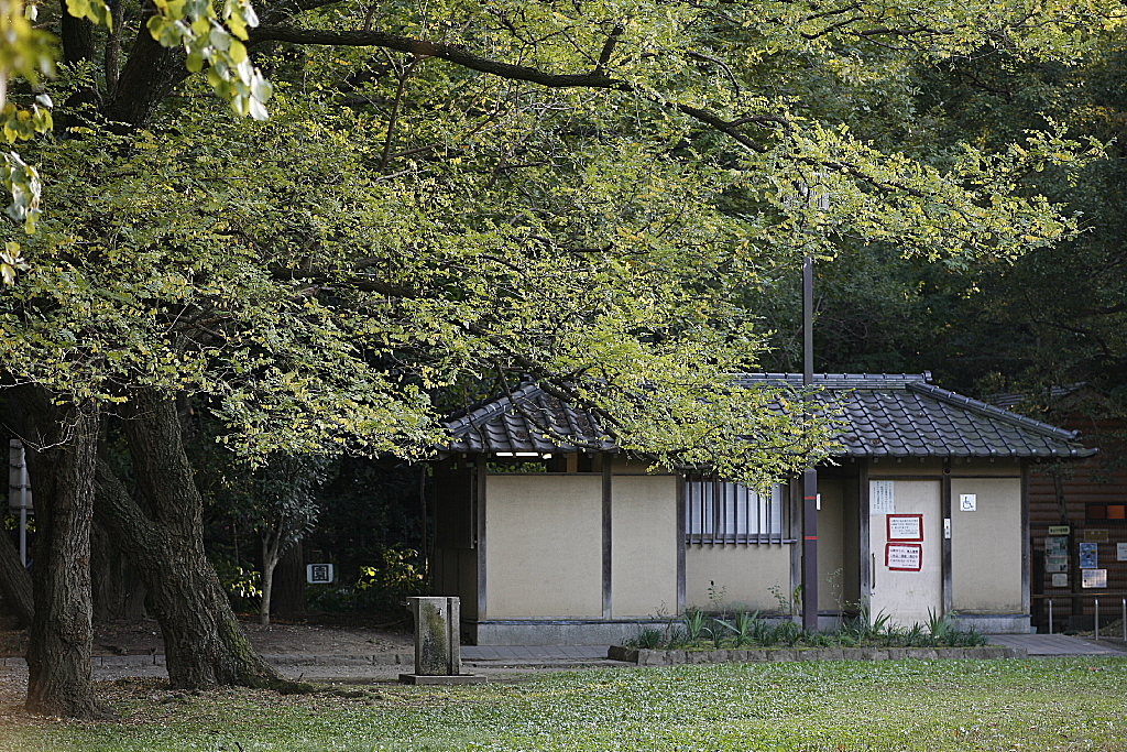 久伊豆神社で01