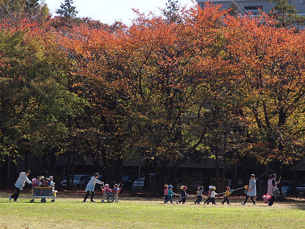 さあ、帰りますよー。