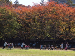 さあ、帰りますよー。