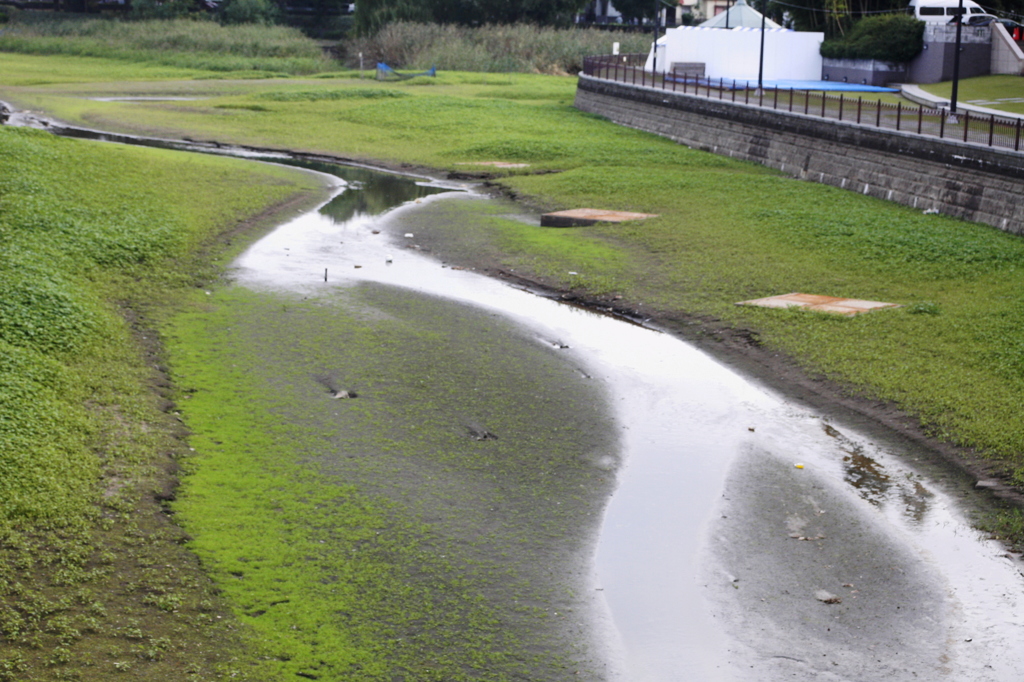 市役所前の散歩09