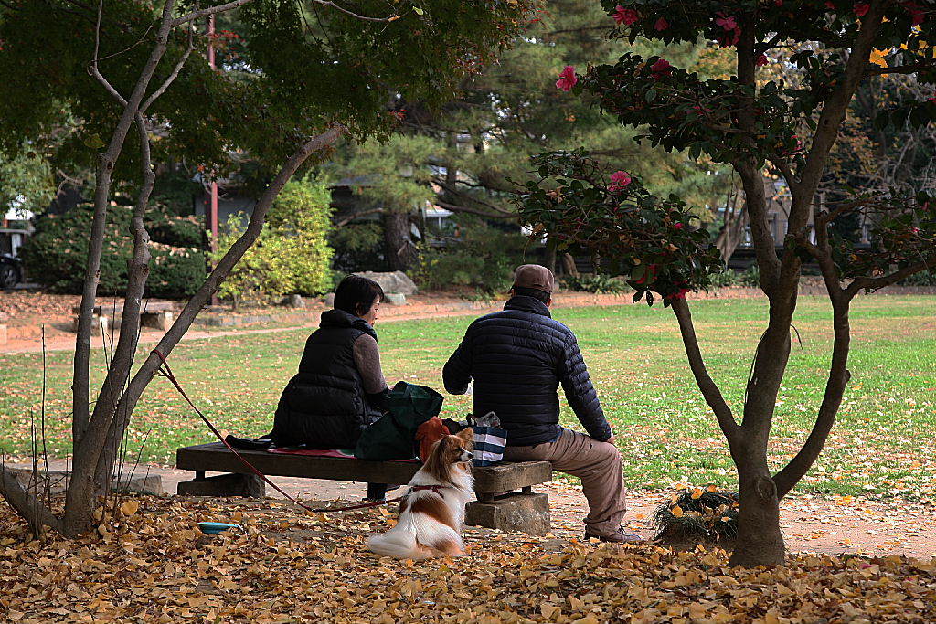 越谷の久伊豆神社にて05