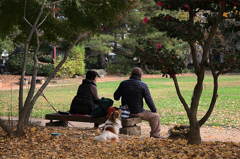 越谷の久伊豆神社にて05