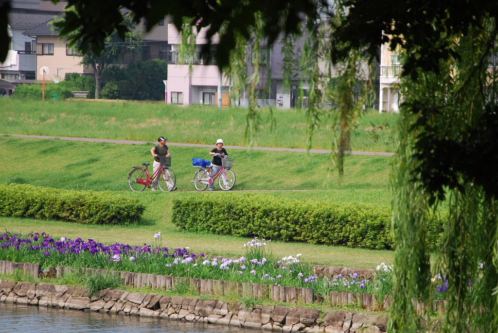 市役所の土手９