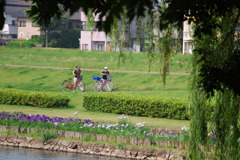 市役所の土手９