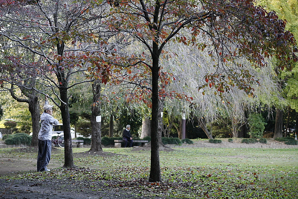 久伊豆神社で12