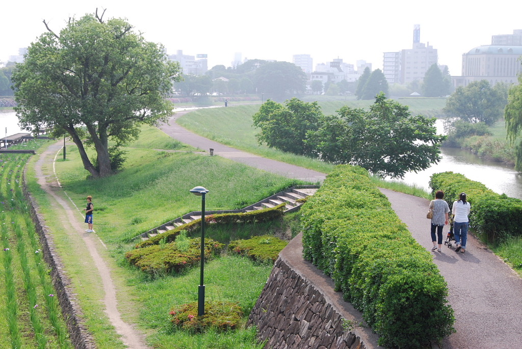 市役所の土手１