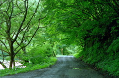 くろくまの滝02