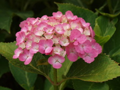 市役所の土手１８