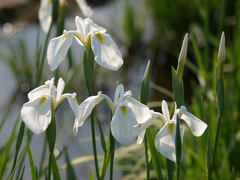 市役所の土手で③