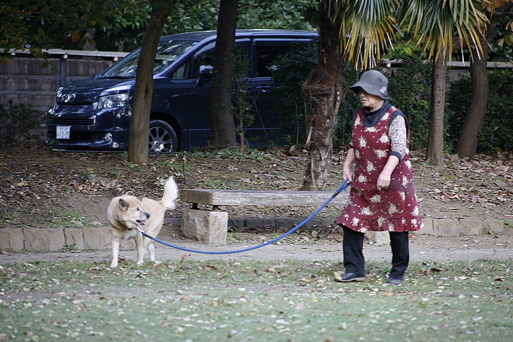 ちゃんと待ってる、わんちゃん♪