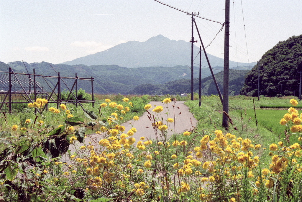滝の下に行く道