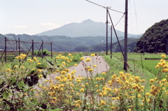 滝の下に行く道