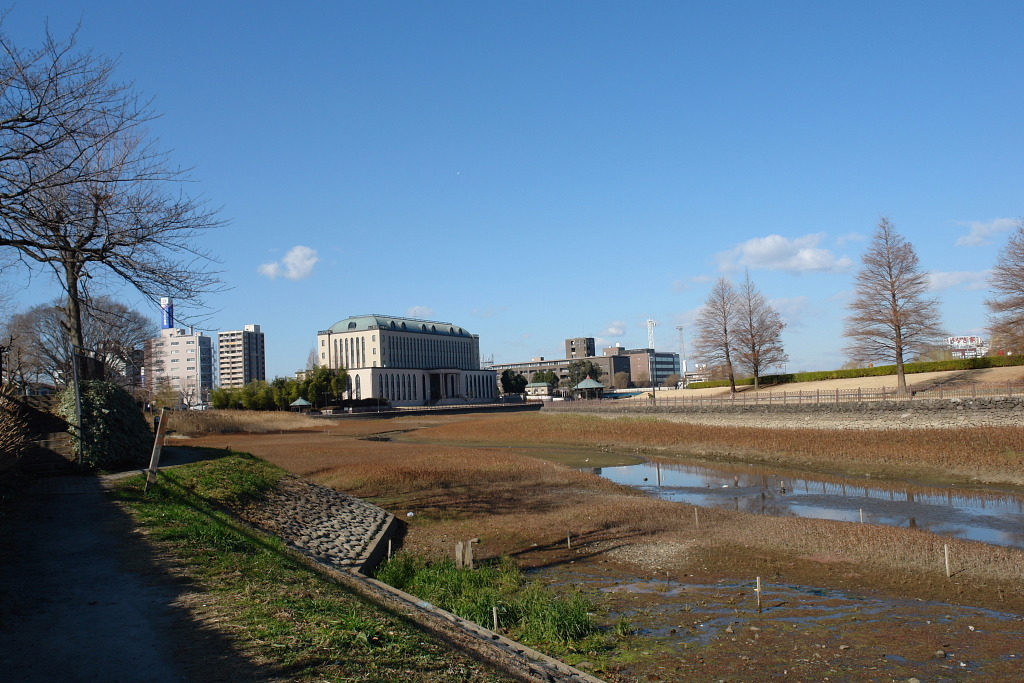 市役所の土手２０
