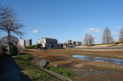 市役所の土手２０