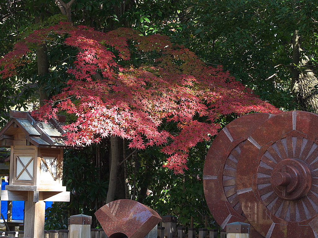 29年の紅葉12