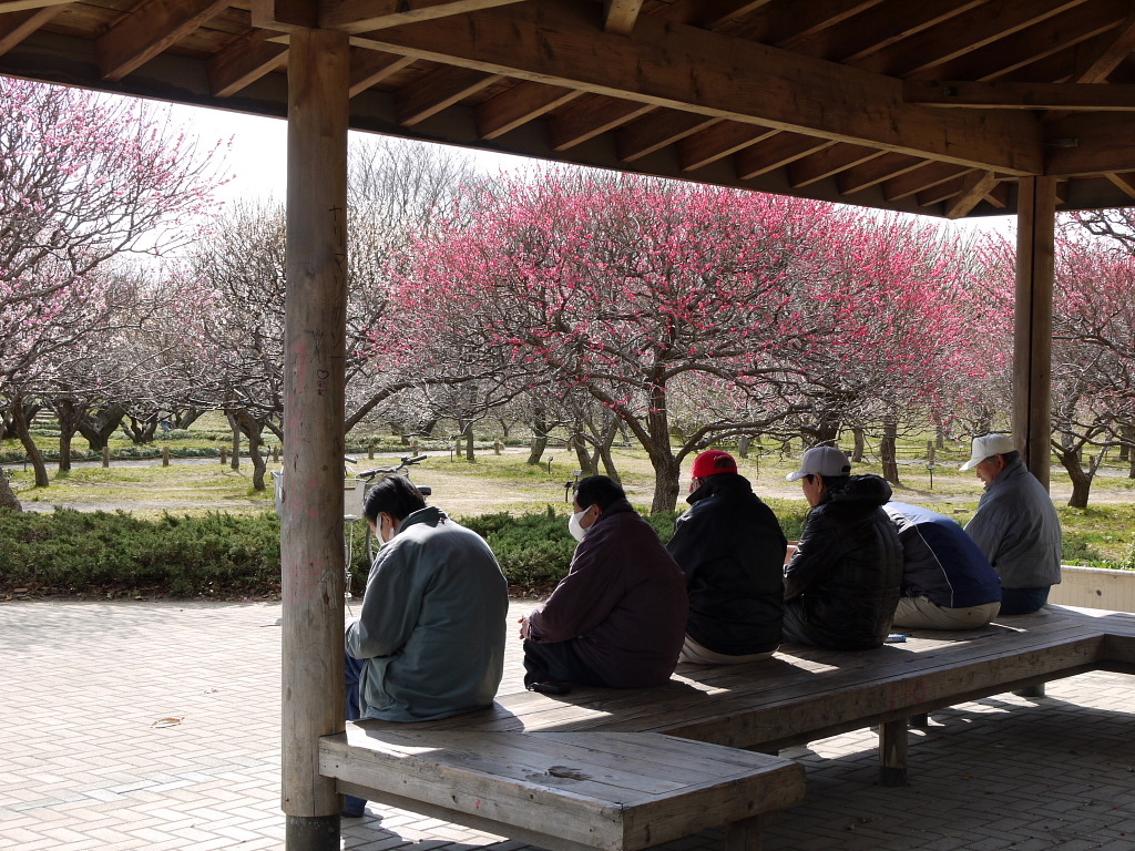 梅林公園３
