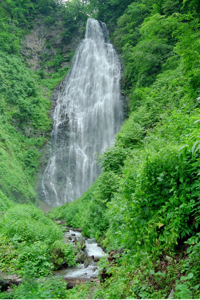 黒熊の滝