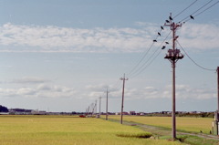 田園風景②　1994.9.16