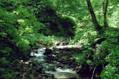 赤石川上流　1996.8