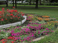 ある日、公園で５