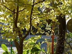 南越谷第１公園にて03