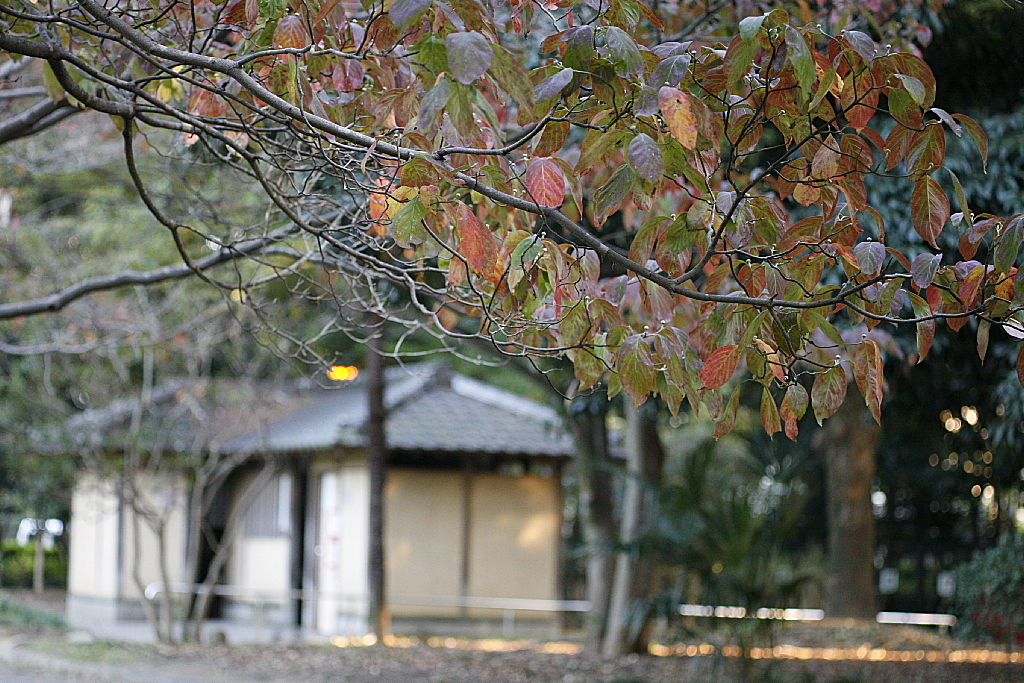久伊豆神社で07