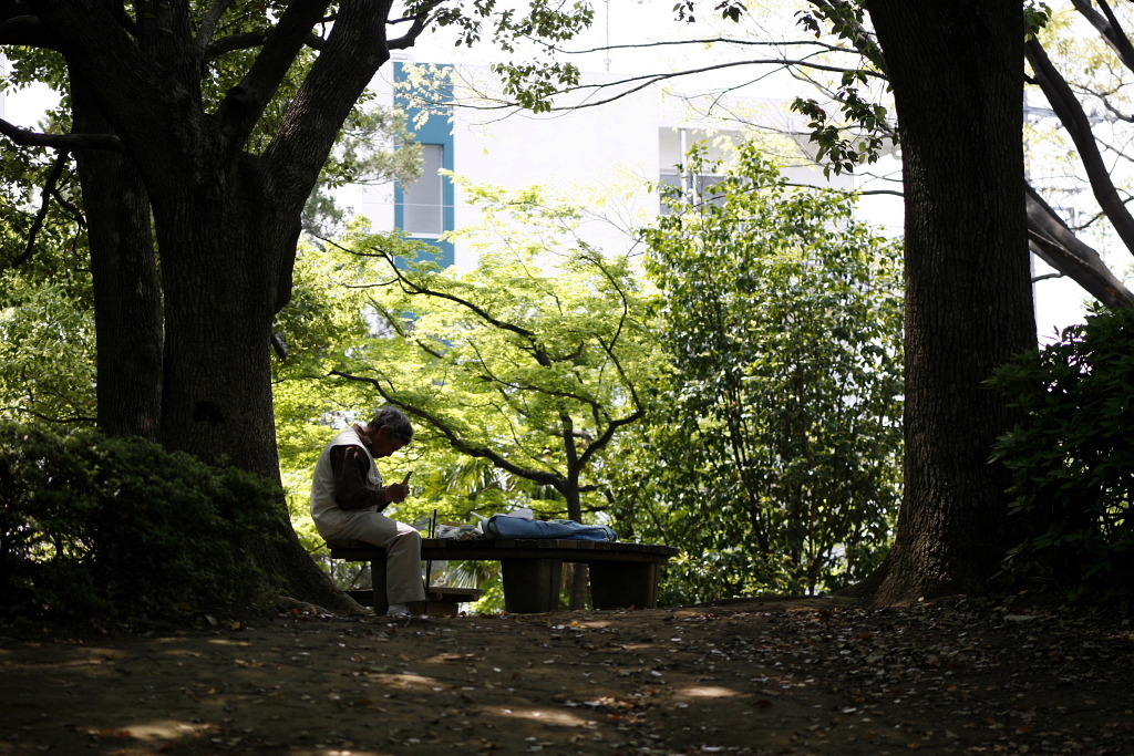 公園のひととき