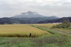 秋の田んぼ道②　1994.9.16