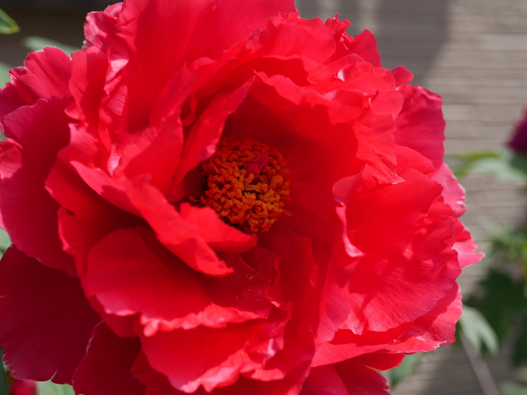 自宅の近くで２