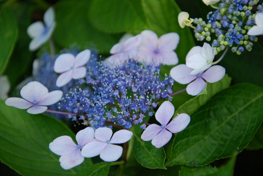 市役所の土手１４