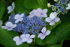 市役所の土手１４