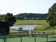 日帰り旅行で１