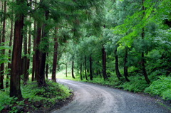 くろくまの滝01