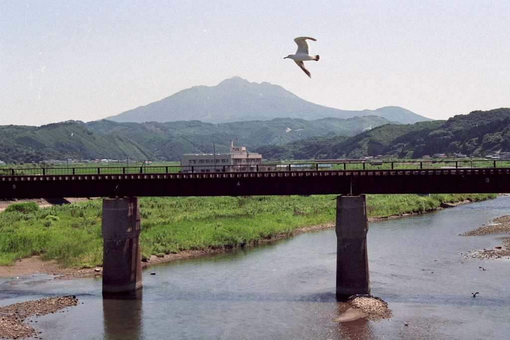 岩木山と海鳥　92.8 