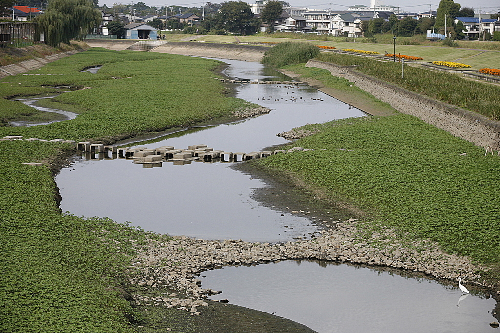 市役所前の土手02