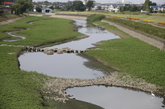 市役所前の土手02