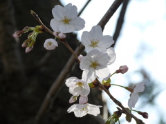 市役所の土手で５