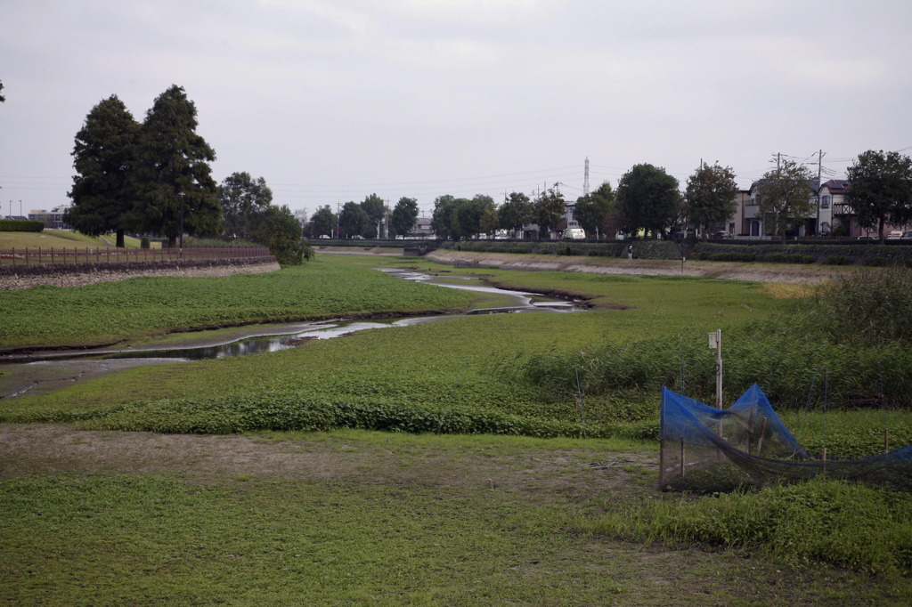 市役所前の散歩02