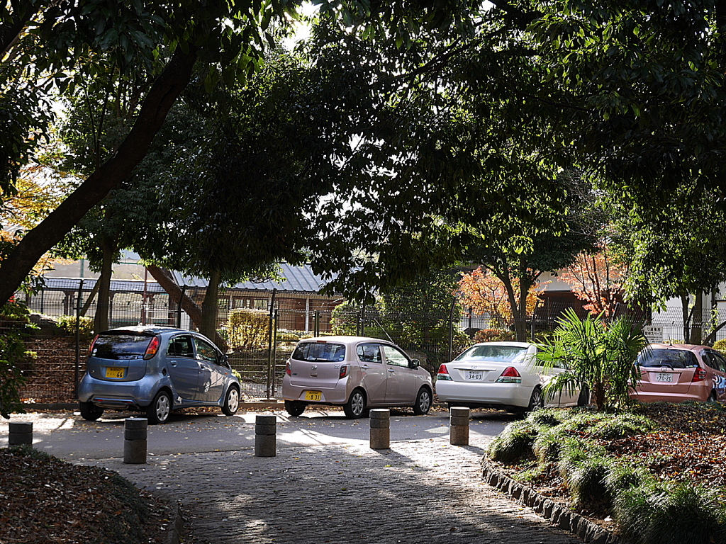久伊豆神社の紅葉その２04