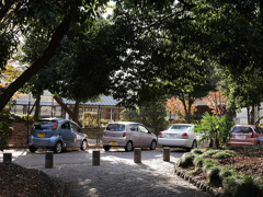 久伊豆神社の紅葉その２04